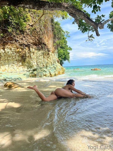 Yogi cath