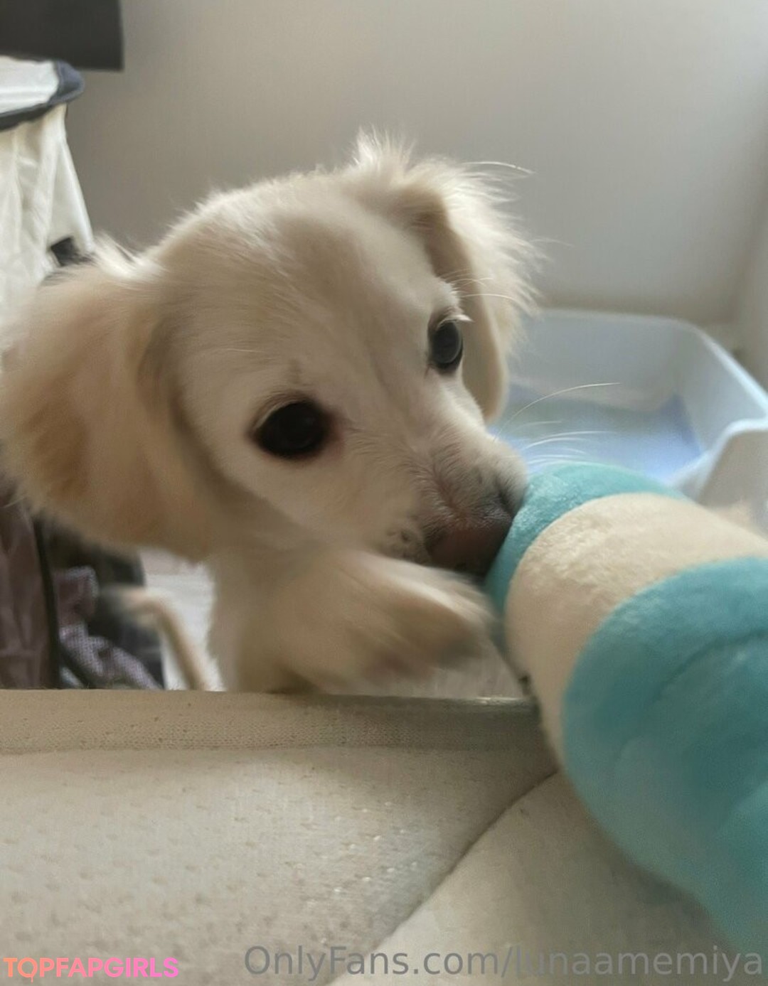 Foto desnuda filtrada de OnlyFans de Lunaamemiya #1852