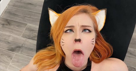 Sweetie Fox