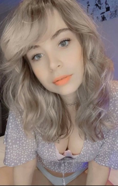 Animaechan