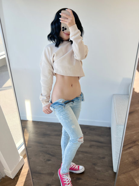 Ari