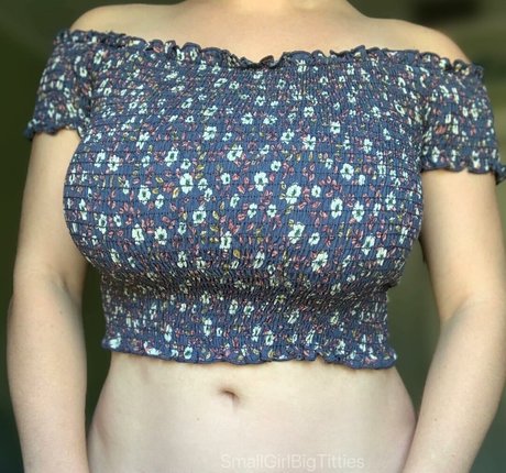 SmallGirlBigTitties