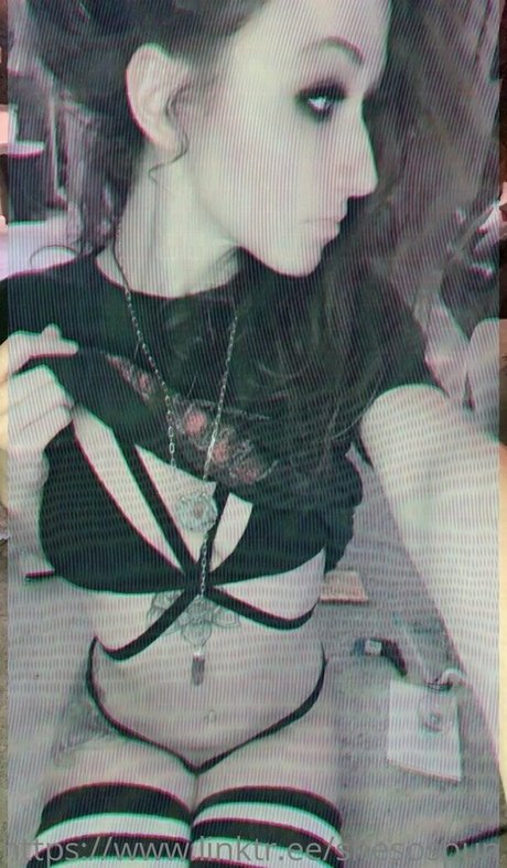 Spunbunny