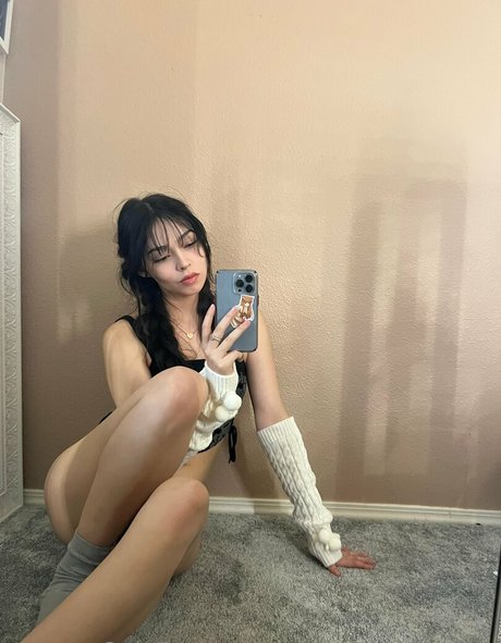 Bbaybeebirkin