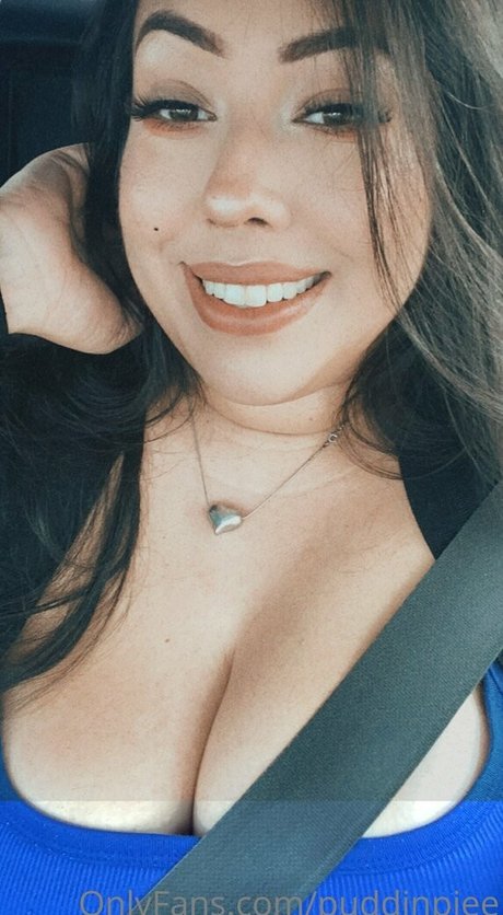 Puddinpiee