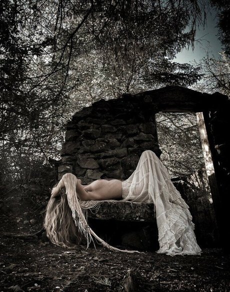 Lady Willow Wood