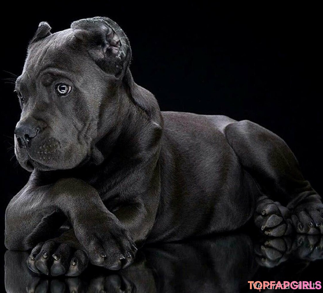 Foto desnuda filtrada de OnlyFans de Veronicasilesto #44 Foto desnuda filtrada de OnlyFans de Veronicasilesto #44