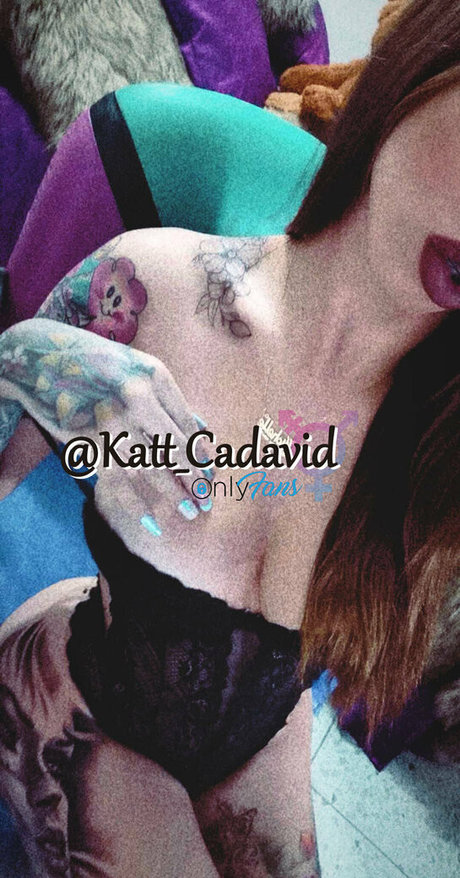 Kattsweet