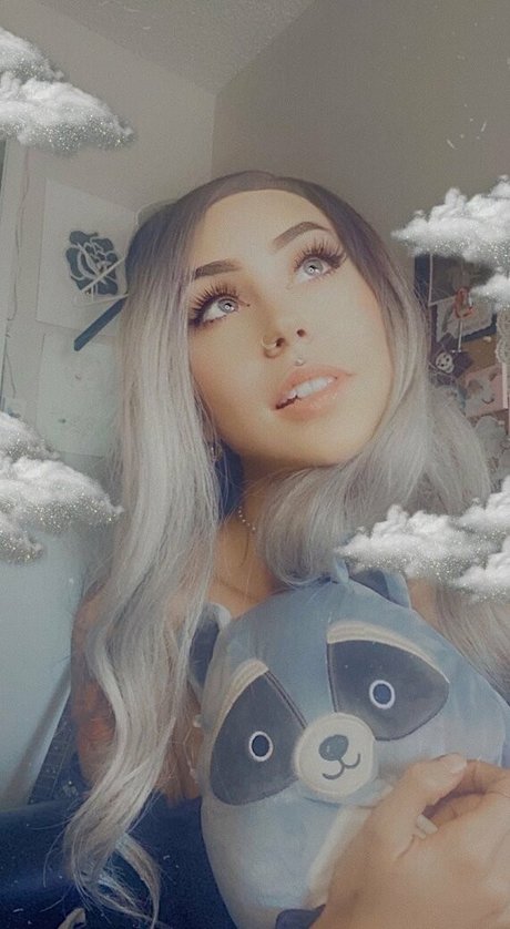 Dollyhazed