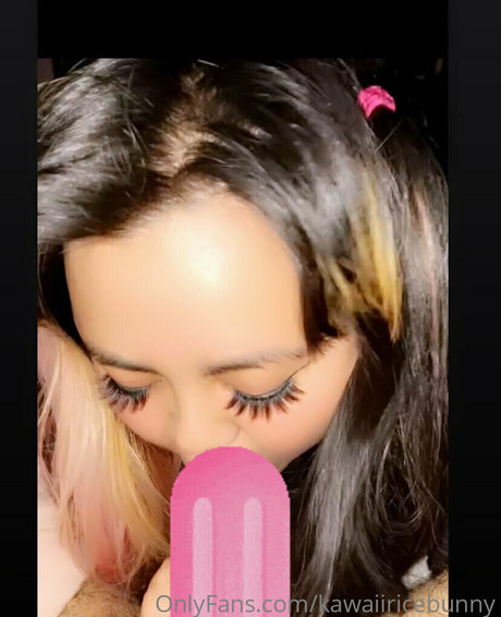Kawaiiricebunny