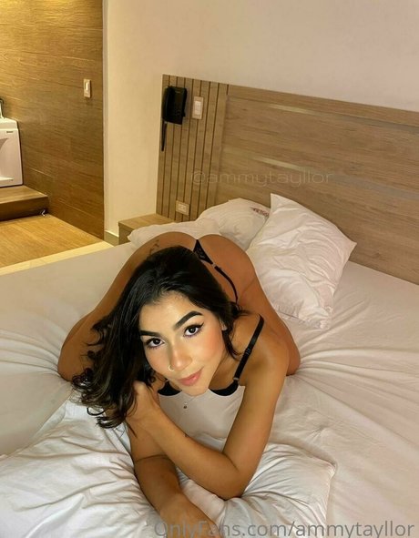 Ammytayllor