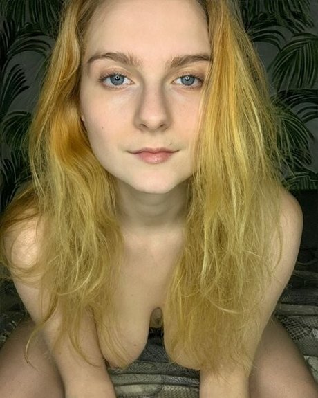Daisy North
