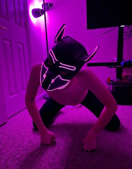Puphaze