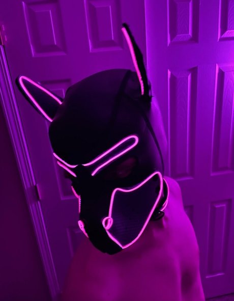 Puphaze