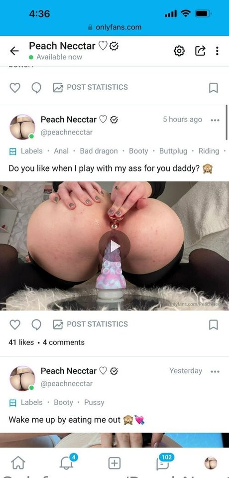 Peachnecctarfree