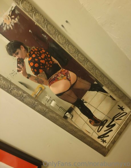 Norabunnyxo