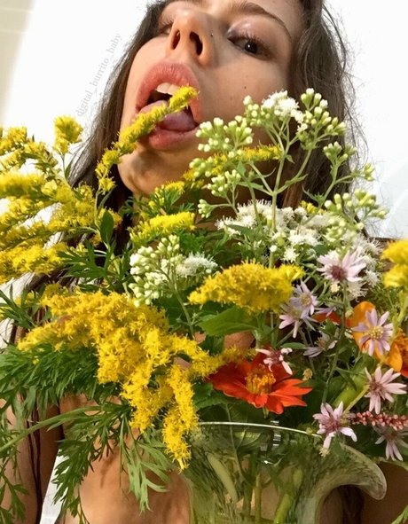 Digital_burrito_baby