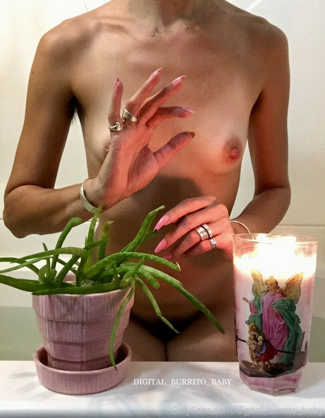 Digital_burrito_baby