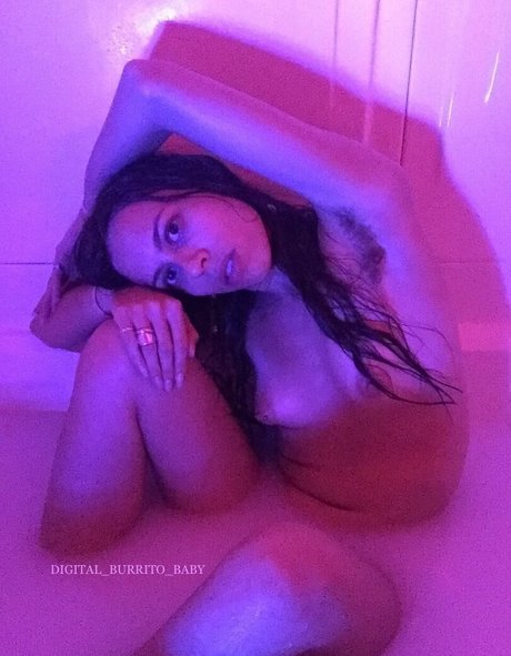 Digital_burrito_baby