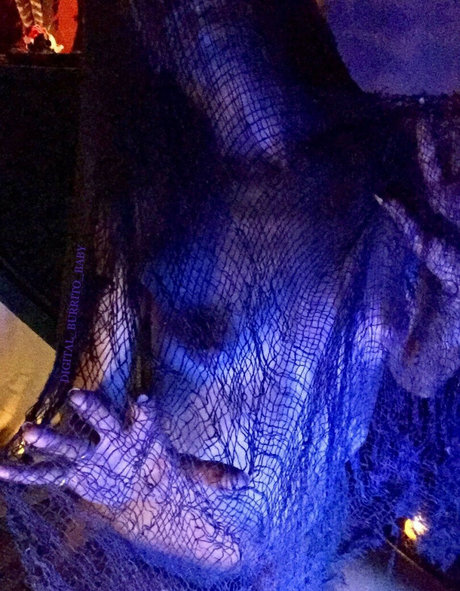 Digital_burrito_baby