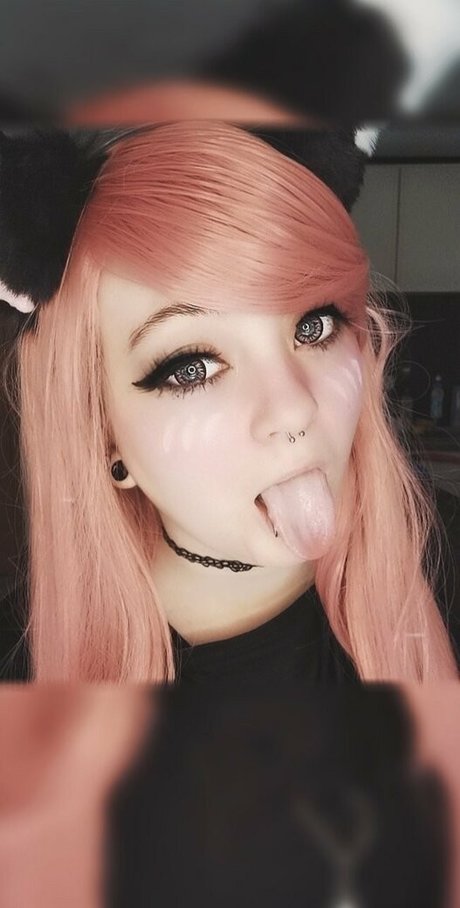 Littlescarefox