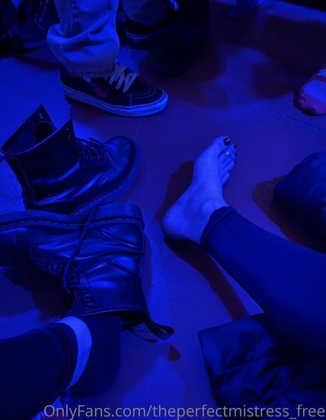 Theperfectmistressfree