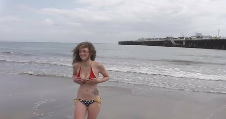 Gypsyleia