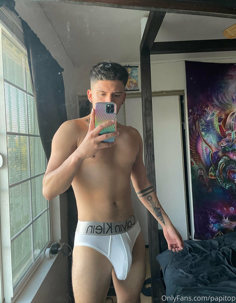 Papitop