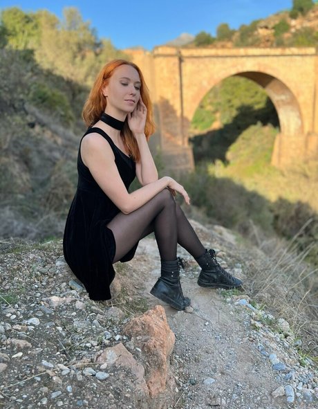 Alicerocket