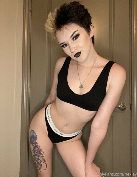 Dommxx