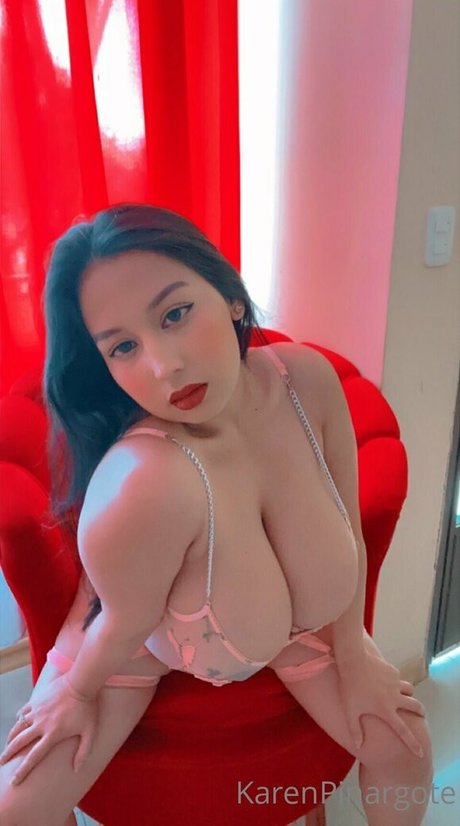 Karen Pinargote Torres