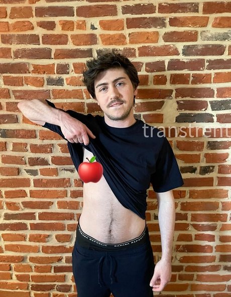 Transtrentfree