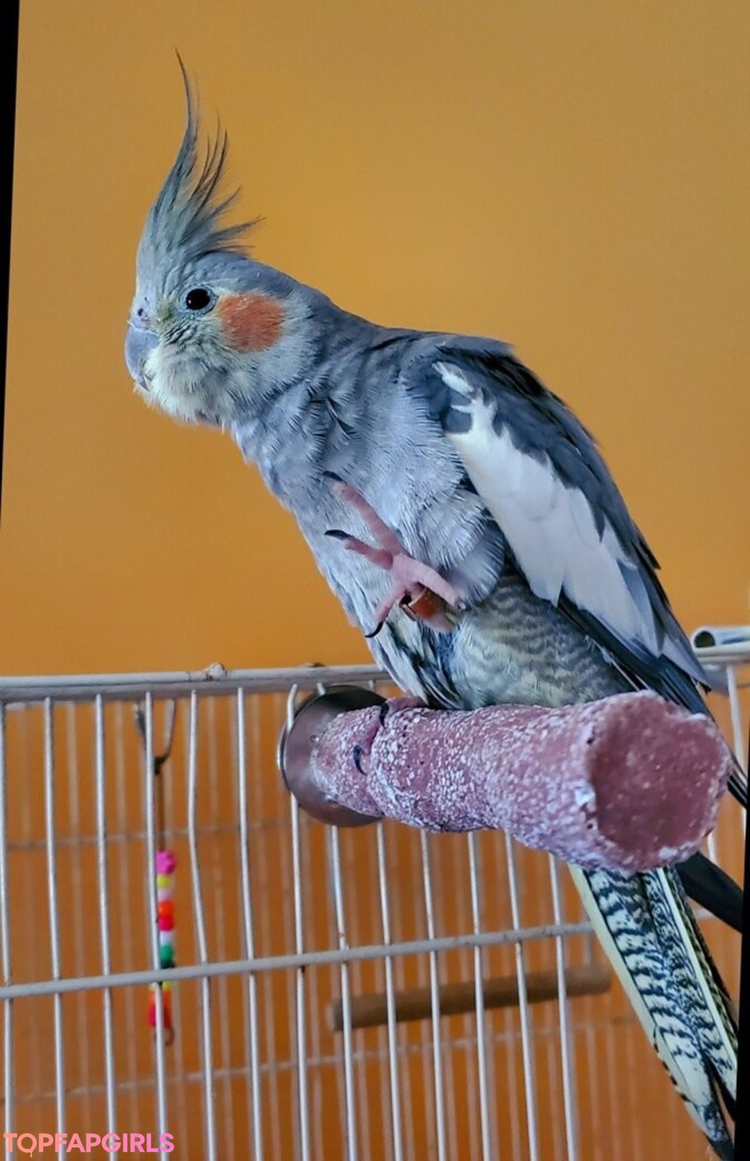 Foto desnuda filtrada de OnlyFans de Afaededsub #270 Foto desnuda filtrada de OnlyFans de Afaededsub #270