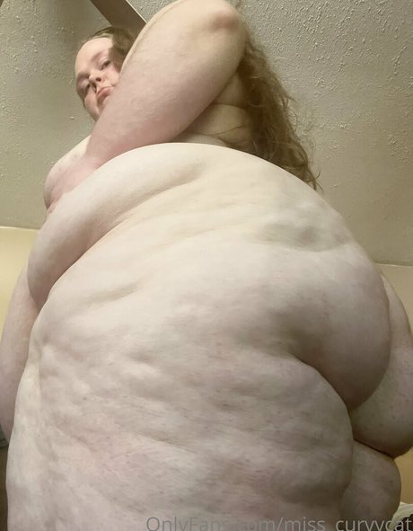 Misscurvycat