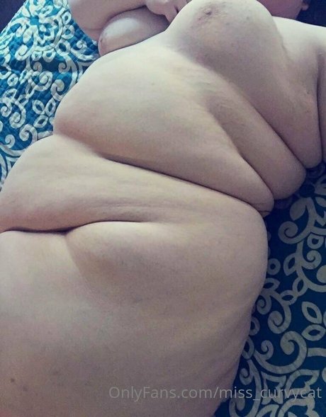 Misscurvycat