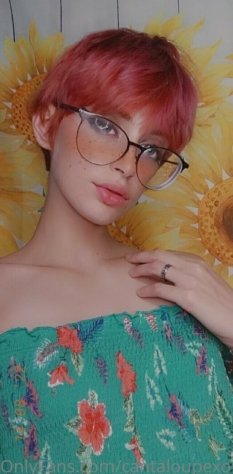 Cantaloupexo