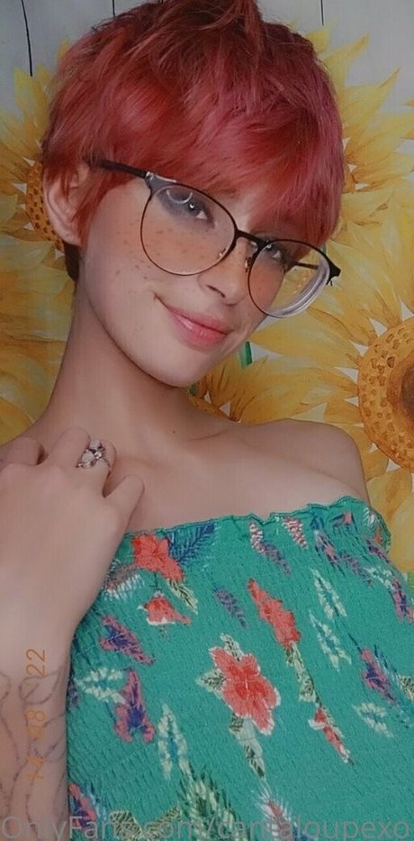 Cantaloupexo