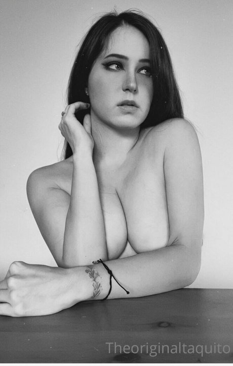 The Original Taquito