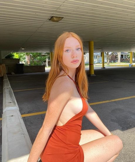 lilypriscak