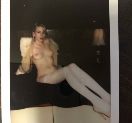 Haleysvision