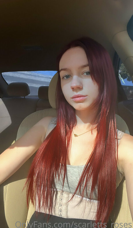 Haleysvision