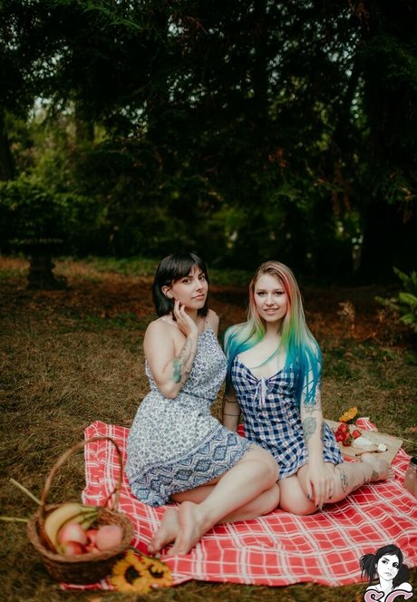 Rainn Suicide