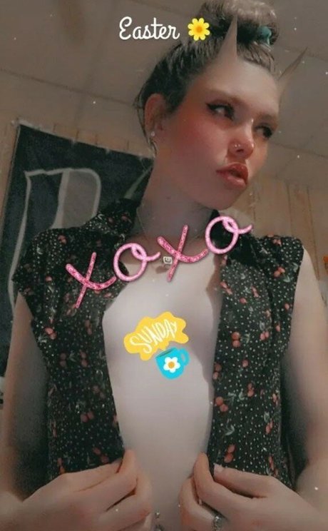 Dixicamo01