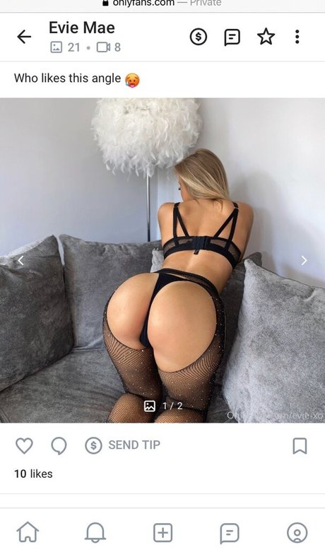 Eviexo