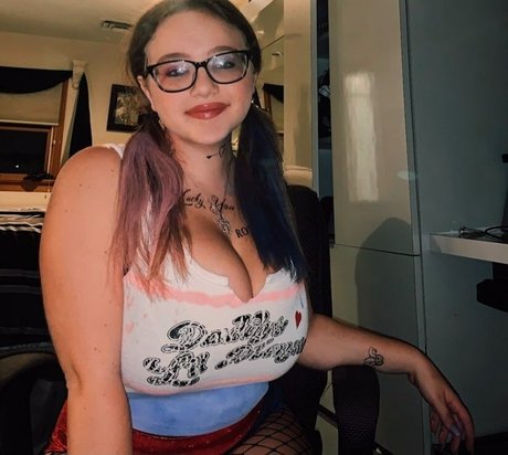 Harley Stein