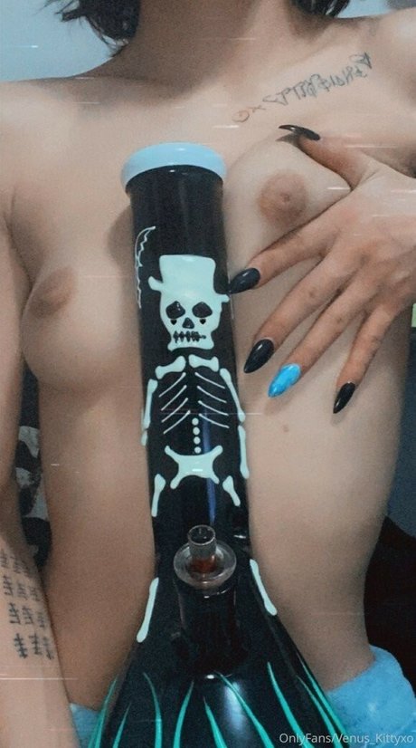 Foto desnuda filtrada de OnlyFans de Venus Kitty