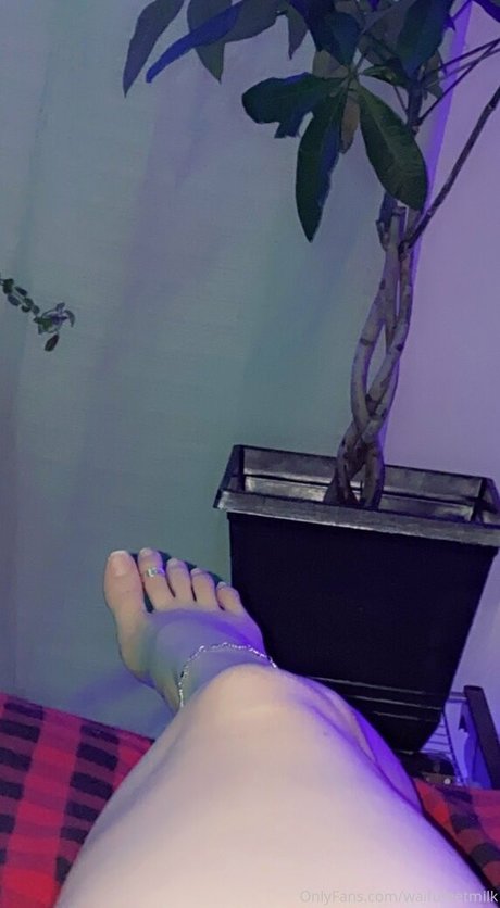 WaifuFeetMilk