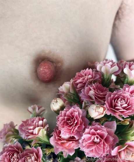 Hendrixina