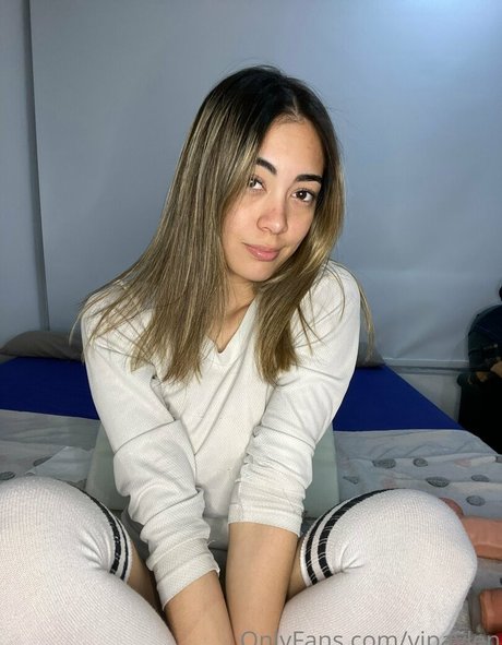 Vipaylen