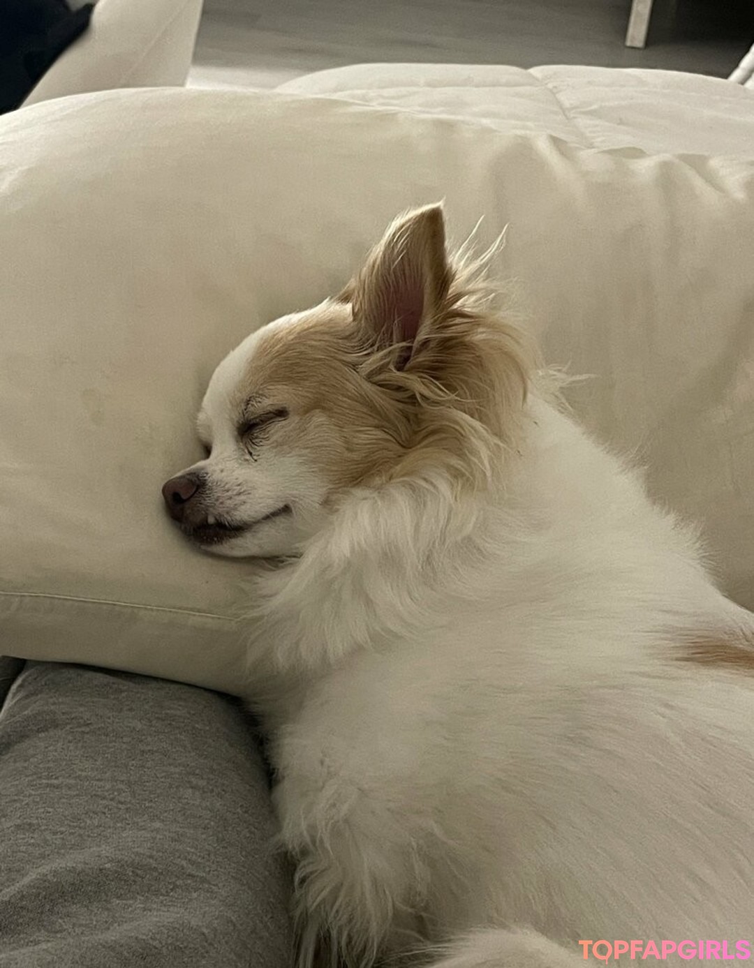 Foto desnuda filtrada de OnlyFans de Xsofiasunshine #20 Foto desnuda filtrada de OnlyFans de Xsofiasunshine #20